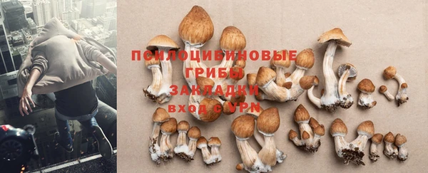 мяу мяу мука Алексеевка